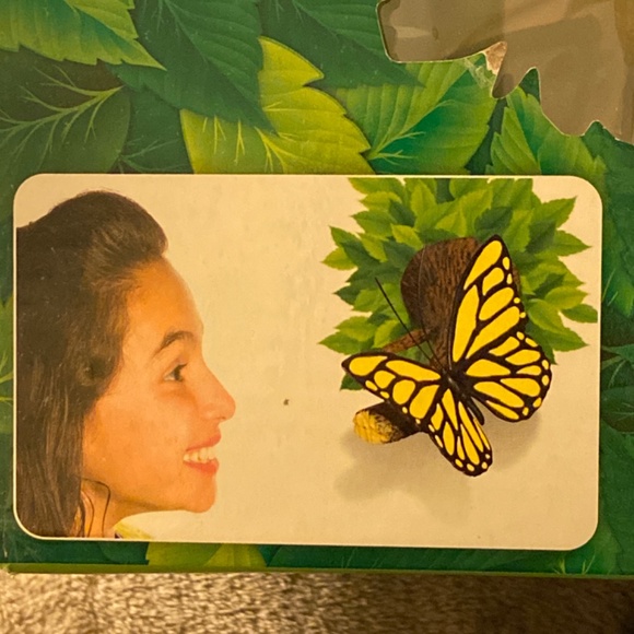 Butterfly 3D Deco Light - Picture 3 of 7